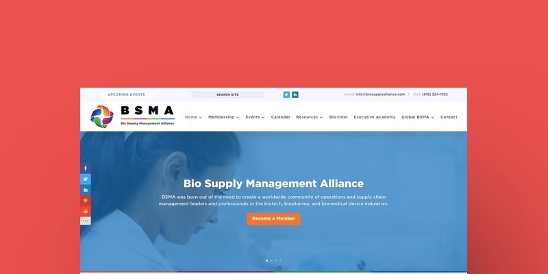 BSMA USA Project 1
